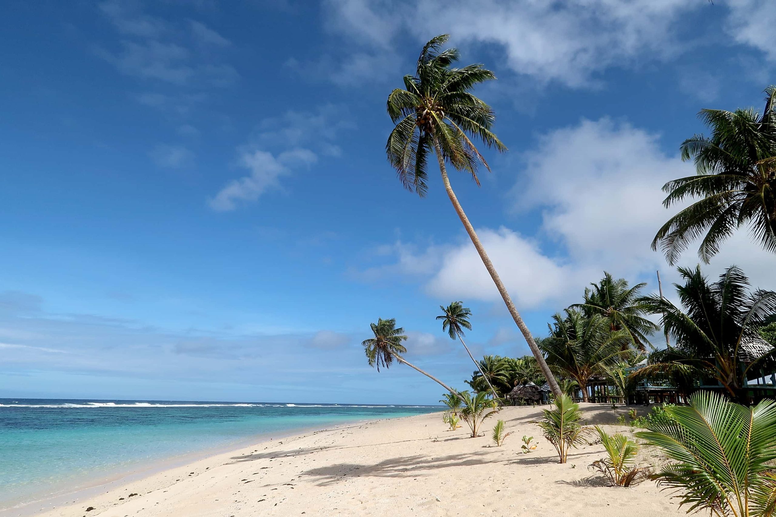 Image Credit: Getty Images | Phil Walter