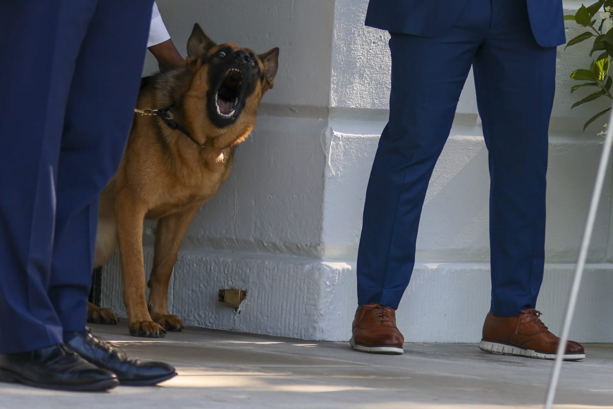 Image Source: Getty Images | Tasos Katopodis