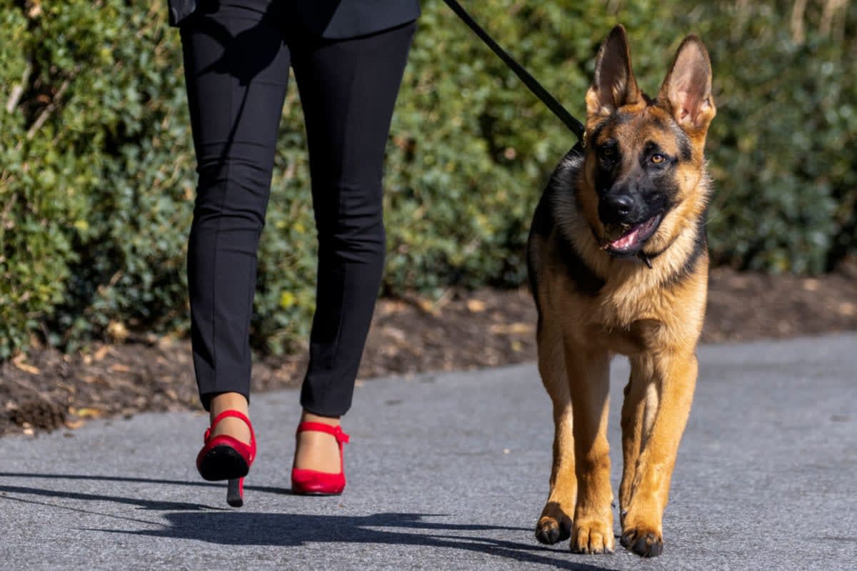 Image Source: GettyImages| Photo by Tasos Katopodis