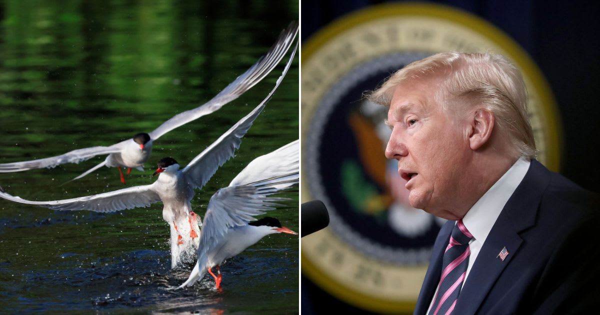 Image Source: Getty Images | Photos By (L) Bruce Bennett; (R) Mark Wilson