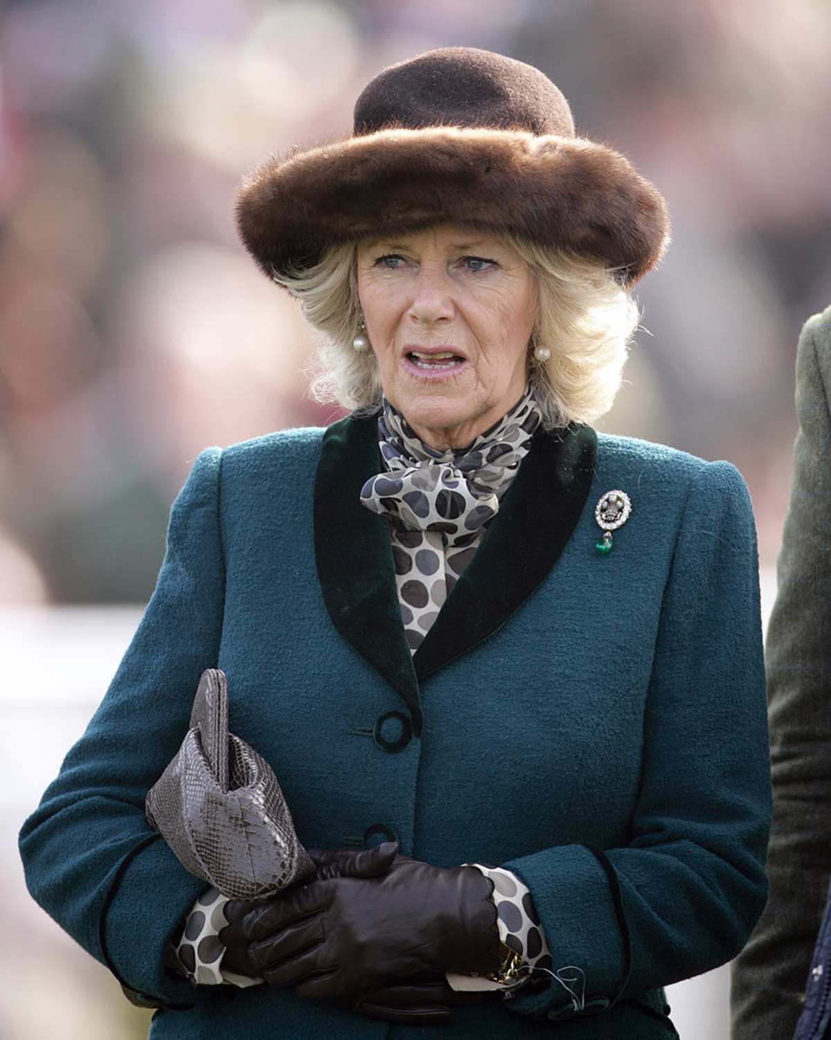 Camilla wears a brooch previously worn by Princess Diana as she attends day 2 'Ladies Day' of the Cheltenham Horse Racing Festival on March 14, 2012. Image Source: Getty Images | Photo by Indigo