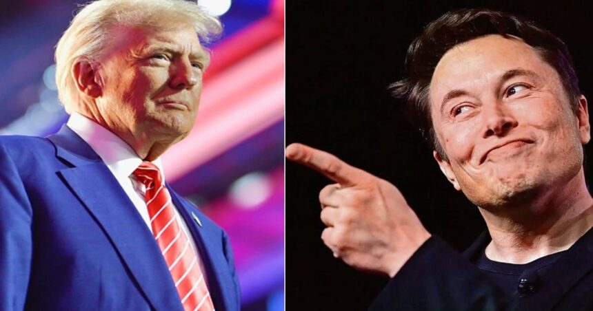 Donald Trump and Elon Musk