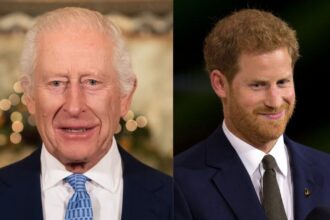 King Charles and Prince Harry