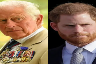 King Charles and Prince Harry