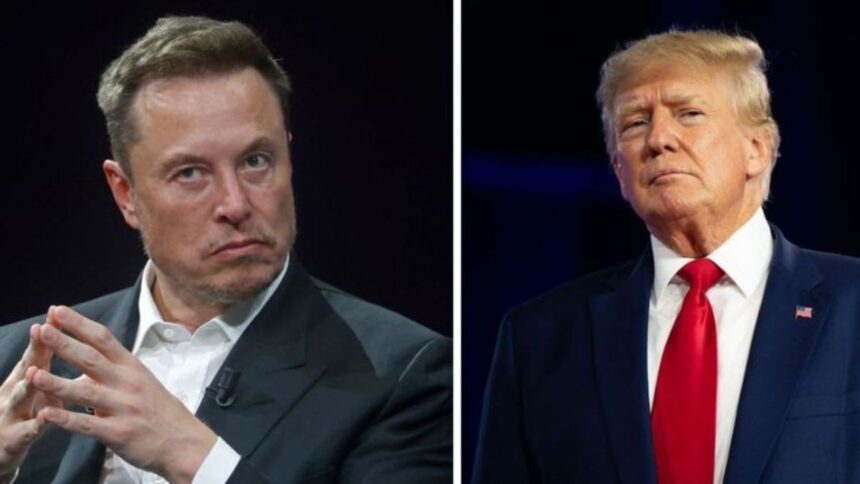 Donald Trump and Elon Musk Cover Photo