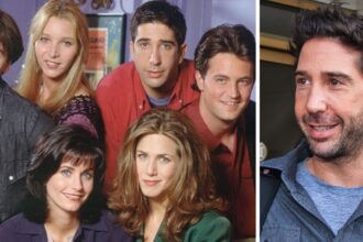 Friends Cast (L) and David Schwimmer (R)