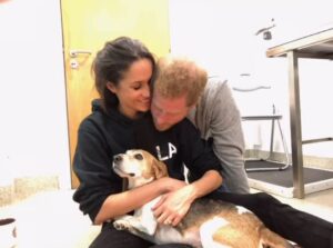 Prince Harry And Meghan With Their Pet Dog