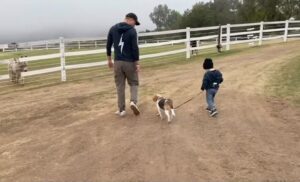 Prince Harry Dog Guy With Archie